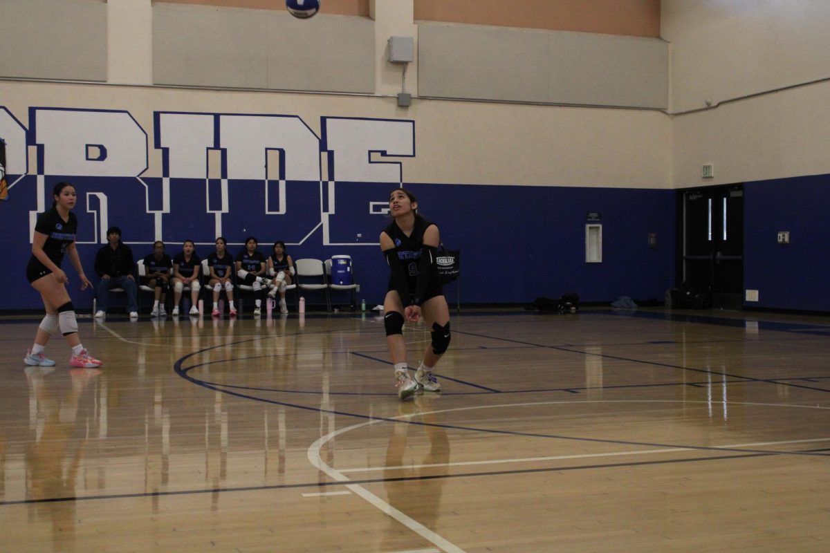 Ashley Lopez (#9) prepares to hit the volleyball onto the opponents side.